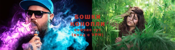 индика Армянск