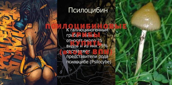 гашишное масло Аркадак