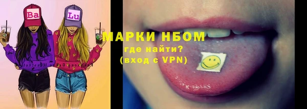 стафф Алзамай