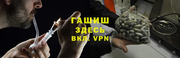 индика Армянск