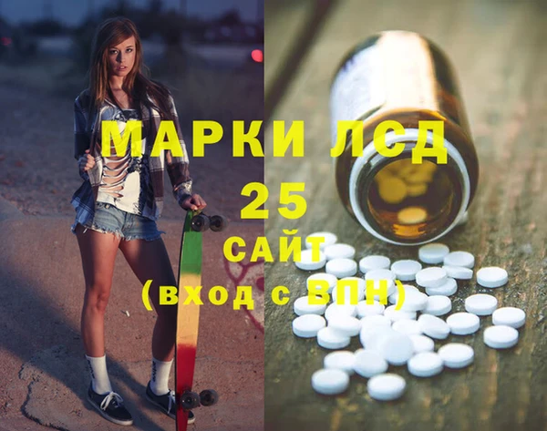 индика Армянск